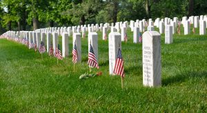 MemDay image